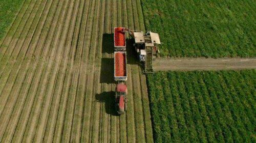 Agricultura Inteligente